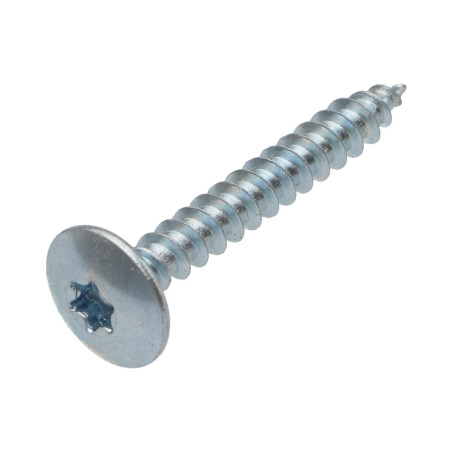 1 x Tornillo pernio 6X60 roscado parcial TORX T30 Acero cincado blanco