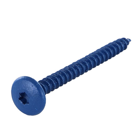1 x Tornillo pernio 4.5X50 roscado total TORX T20 Acero cincado blanco LAQ RAL5010