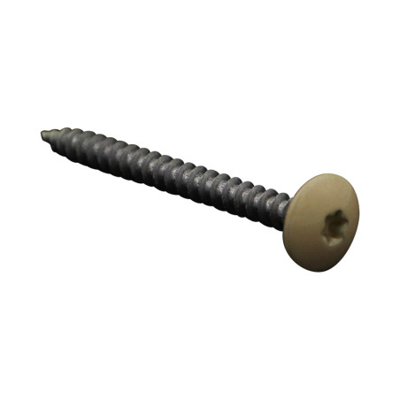 1 x Tornillo pernio 4.5X50 roscado total TORX T20 Acero cincado blanco LAQ RAL1014
