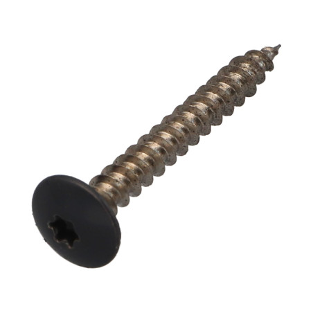 1 x Tornillo pernio 5X40 roscado total TORX T20 Acero cincado blanco RAL7015 gris pizarra
