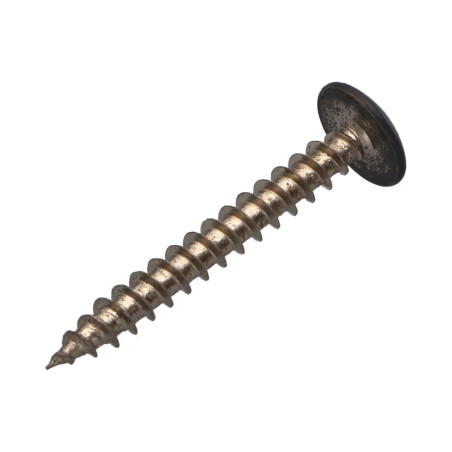 1 x Tornillo pernio 5X40 roscado total TORX T20 Acero cincado blanco RAL7015 gris pizarra