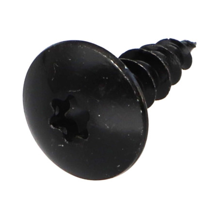 1 x Tornillo pernio 5X16 roscado total TORX T20 Acero cincado negro