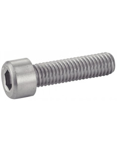 Surtido de 620 Tornillo metales CHC BTR Inoxidable A4 2
