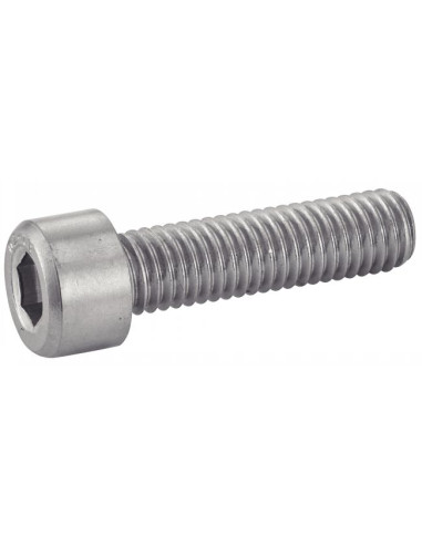 1 x Surtido de 620 Tornillo metales CHC BTR...