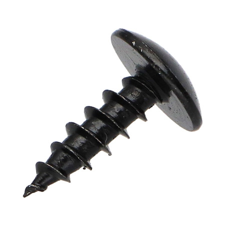 1 x Tornillo pernio 5X16 roscado total TORX T20 Acero cincado negro