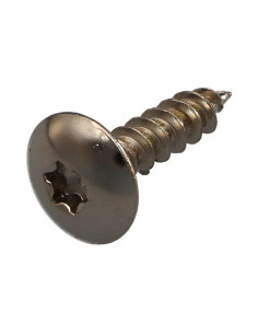 Tornillo pernio 6X25 roscado total TORX T30 Acero niquelado
