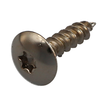 1 x Tornillo pernio 6X25 roscado total TORX T30 Acero niquelado