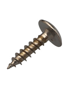 Tornillo pernio 6X25 roscado total TORX T30 Acero niquelado 2