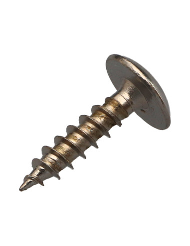 1 x Tornillo pernio 6X25 roscado total TORX T30...