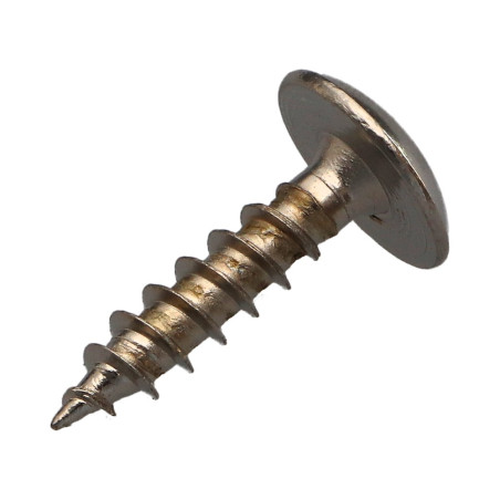 1 x Tornillo pernio 6X25 roscado total TORX T30 Acero niquelado