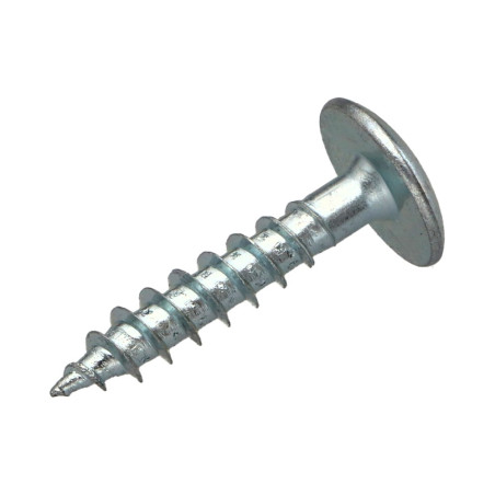 1 x Tornillo pernio 6X35 roscado parcial TORX T30 Acero cincado blanco