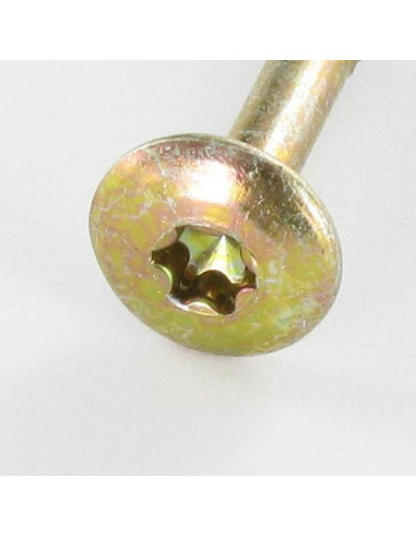1 x Tornillo pernio 6X60 roscado en 43 TORX T30...