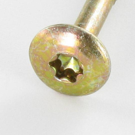 1 x Tornillo pernio 6X60 roscado en 43 TORX T30 diámetro de cabeza: 14 Bicromato