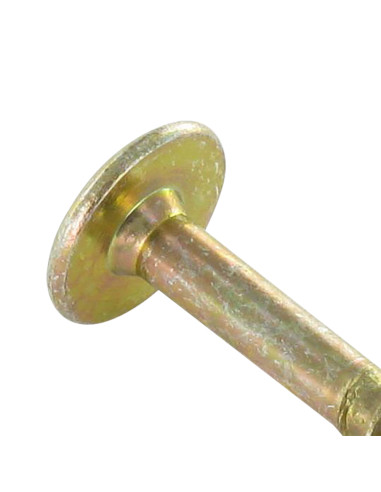 1 x Tornillo pernio 6X60 roscado en 43 TORX T30...