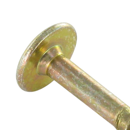 1 x Tornillo pernio 6X60 roscado en 43 TORX T30 diámetro de cabeza: 14 Bicromato