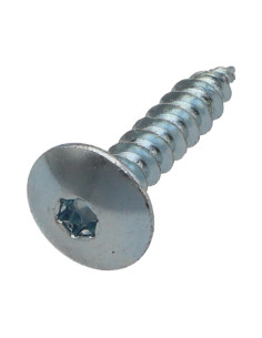 Tornillo pernio 6X25 roscado total TORX T30 Acero cincado...