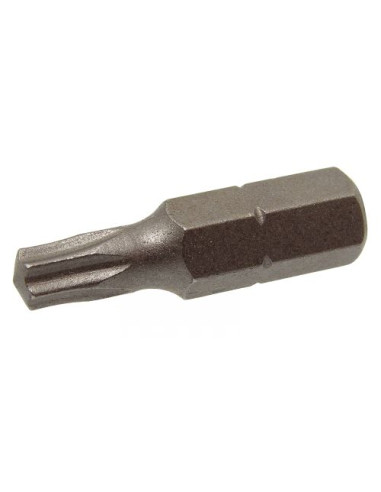 1 x Surtido de 1666 Tornillo madera aglomerado...