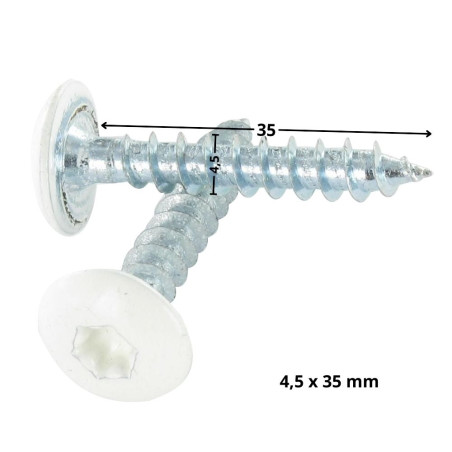 1 x Tornillo pernio 4.5X35 roscado total TORX T20 Acero cincado blanco RAL9010 blanco puro