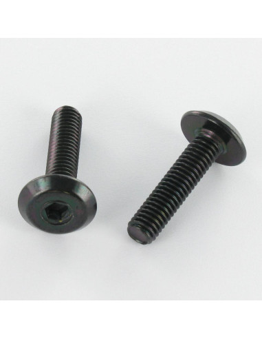 1 x Tornillo metales plano llave de 4 M6X30...