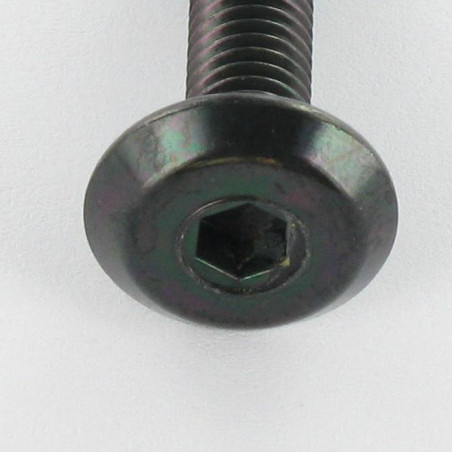 1 x Tornillo metales plano llave de 4 M6X30 Acero cincado negro