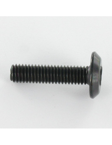 1 x Tornillo metales plano llave de 4 M6X30...
