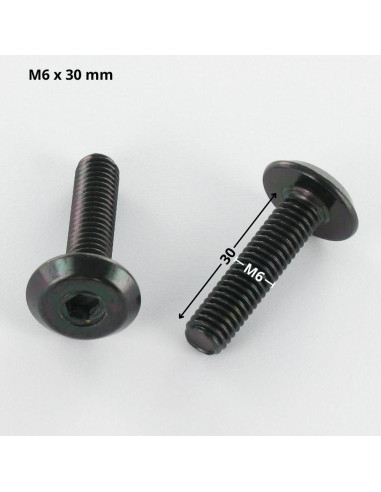 1 x Tornillo metales plano llave de 4 M6X30...