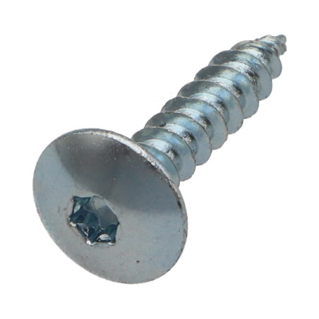1 x Tornillo pernio 6X20 roscado total TORX T30 Acero cincado blanco