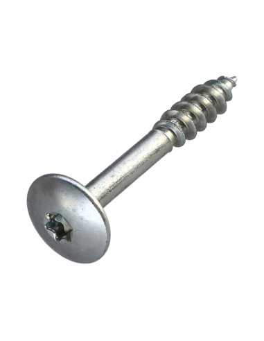 1 x Tornillo pernio 7X50 roscado en 23 TORX T30...