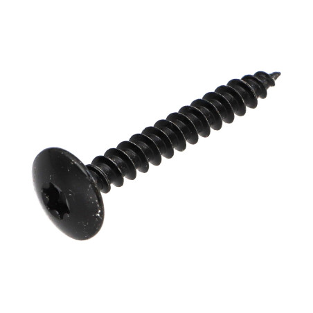 1 x Tornillo pernio 6X50 roscado en 20 TORX T30 Acero cincado negro