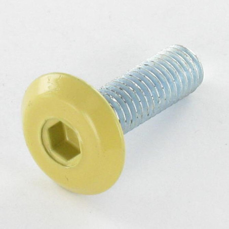 1 x Tornillo metales plano llave de 4 M6X20 Acero cincado blanco cabeza RAL1002