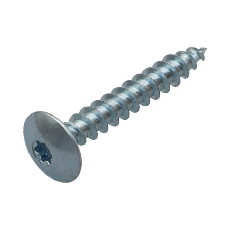 1 x Tornillo pernio 7X50 roscado parcial TORX T30 Acero cincado blanco