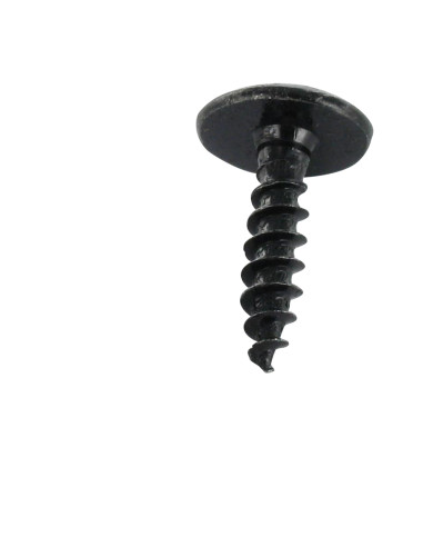 1 x Tornillo pernio Pozi PZ5 5X20 Acero cincado...