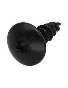 Tornillo pernio 6X25 roscado total TORX T30 Acero cincado...