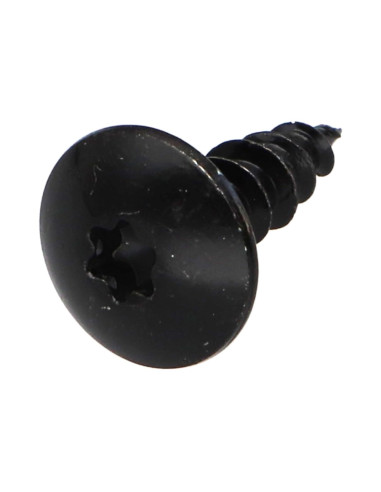 1 x Tornillo pernio 6X25 roscado total TORX T30...
