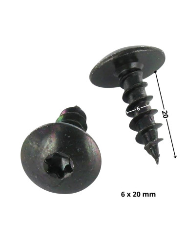 1 x Tornillo pernio 6X20 roscado total TORX T30...