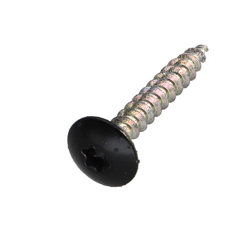 1 x Tornillo pernio 4X30 roscado en 20 TORX T20 Acero cincado blanco RAL9005 negro intenso 30%B