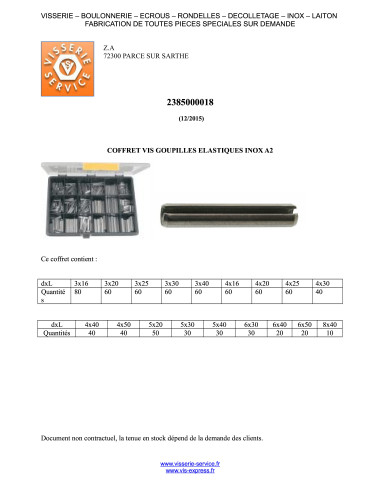 1 x Surtido de 810 Pasador ELAST Inoxidable A2