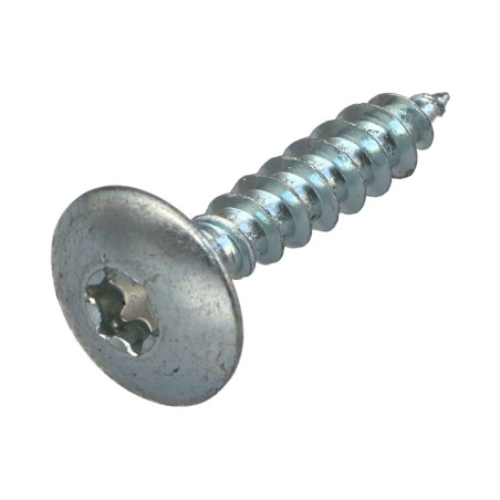 1 x Tornillo pernio 6X30 roscado parcial TORX T30 Acero cincado blanco
