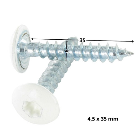 1 x Tornillo pernio 6X35 roscado parcial TORX T30 Acero cincado blanco lacado blanco RAL9010 blanco puro