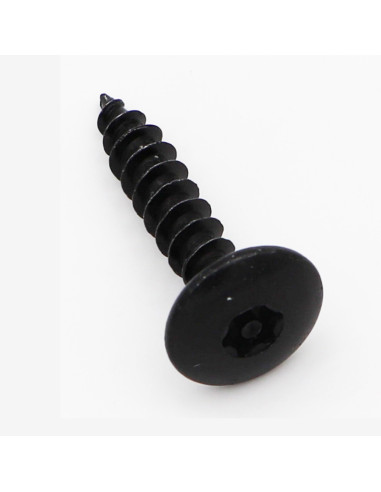 1 x Tornillo pernio Seguridad 6X30 roscado en...