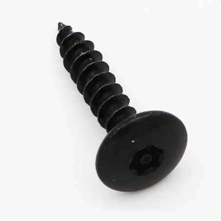 1 x Tornillo pernio Seguridad 6X30 roscado en 30 T30+TET cut punta antihendidura tipo 17 Acero cincado negro
