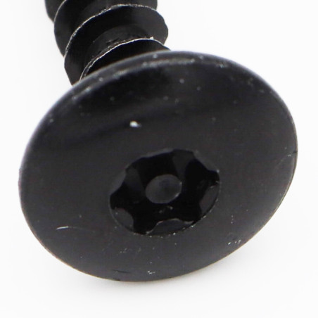 1 x Tornillo pernio Seguridad 6X30 roscado en 30 T30+TET cut punta antihendidura tipo 17 Acero cincado negro