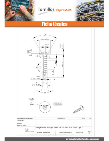 1 x Tornillo pernio Seguridad 6X30 roscado en...
