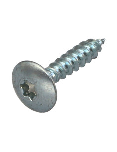 Tornillo pernio 6X40 roscado parcial TORX T30 Acero...