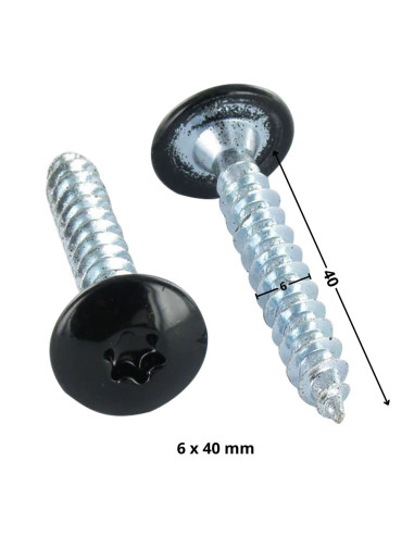 1 x Tornillo pernio 6X40 roscado parcial TORX...