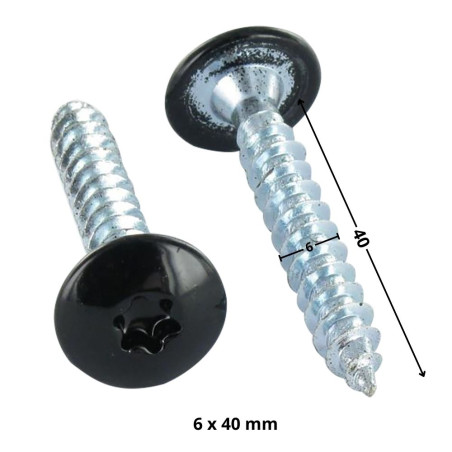 1 x Tornillo pernio 6X40 roscado parcial TORX T30 Acero cincado blanco lacado negro 9005