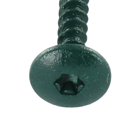 1 x Tornillo pernio 4.5X50 roscado total TORX T20 Acero cincado blanco LAQ RAL6021 verde pálido