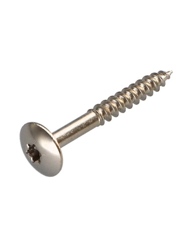1 x Tornillo pernio 5X40 roscado total TORX T20...