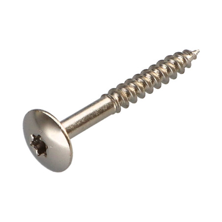 1 x Tornillo pernio 5X40 roscado total TORX T20 Acero niquelado