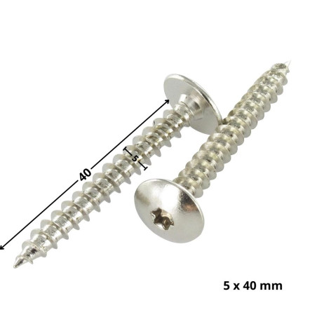 1 x Tornillo pernio 5X40 roscado total TORX T20 Acero niquelado